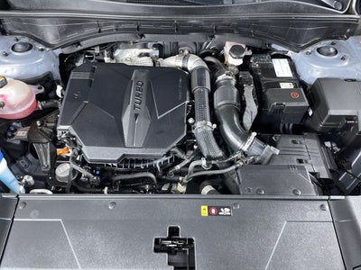 2024 Kia Sorento X-Line SX