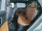 2027 Kia Sportage Hybrid X-Line