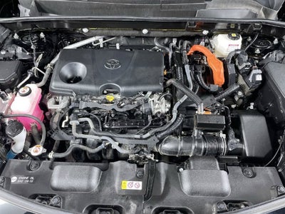 2023 Toyota Venza XLE