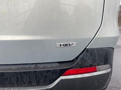 2025 Kia Carnival Hybrid SX