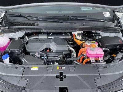 2026 Kia Carnival Hybrid SX Prestige